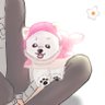 たまご娘's profile picture