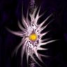 Фото профиля Astrolesyaa