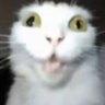 Profilbild von Leibijun