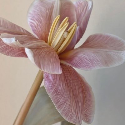 oliviyeay's profile picture