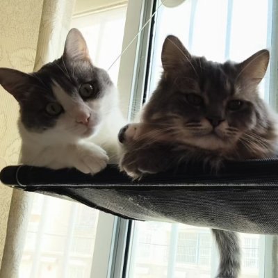 猎庄's profile picture