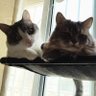 猎庄's profile picture