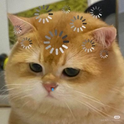 𑣲mhing's profile picture