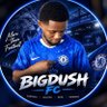 BIGDUSH 的头像
