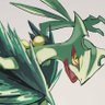 0ocha's profile picture