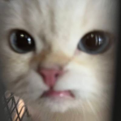 AOBA's profile picture
