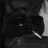 jazzy's profile picture
