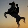 أبوفارس's profile picture