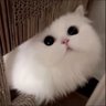 用户81008513237 profil fotoğrafı