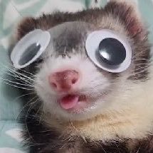 Jack_Attack0_o's profile picture