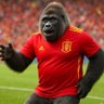 Monkeymon's profile picture