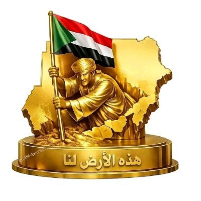NasirMoham51290's profile picture
