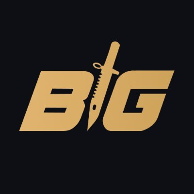 csgobig's profile picture