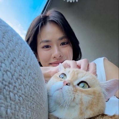bellochiffon's profile picture