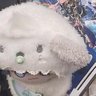 Фото профиля はにーとーすと☆