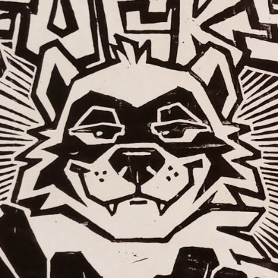 ✏️Dark Side of Raccoom🖌's profile picture
