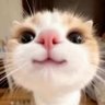 可乐🥤道长@Franco profil fotoğrafı