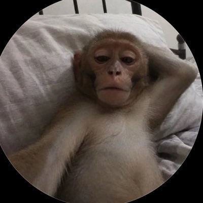 cavatoi95's profile picture