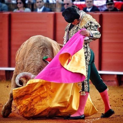 TercioQuites's profile picture