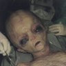 vengeful181's profile picture