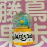 藤嶌親方 profil fotoğrafı