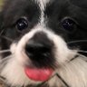 lufe's profile picture