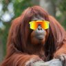 Profilbild von 0ne618