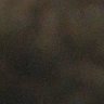 عمو's profile picture