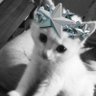 noah's profile picture
