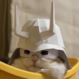 Jack_a_pepper01's profile picture