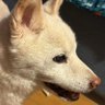 maー's profile picture