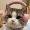 K's profile picture