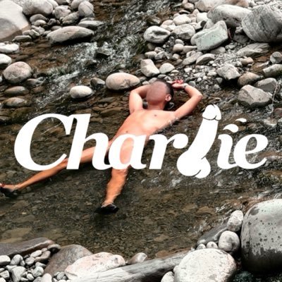lincharlies's profile picture
