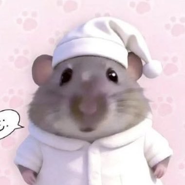nrs's profile picture