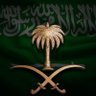 عبدالله الشهراني's profile picture
