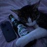 Dyer's profile picture