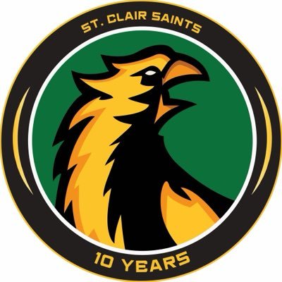 SaintsGamingCA's profile picture