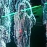 sho's profile picture