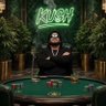 Profilbild von KUSH