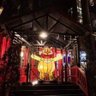 Фото профиля 細菌人