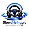 Slow Driving Pro 🚙 的头像