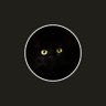 Kitt profil fotoğrafı