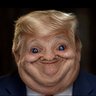 Observer's profile picture