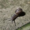 Gaby Reich's profile picture