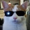 jake's profile picture
