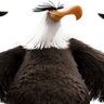 (PARODY) Mighty Eagle of JJKTWT profil fotoğrafı