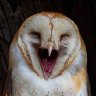 жеревертень 🇺🇦 profil fotoğrafı