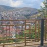 hakan yeşil's profile picture