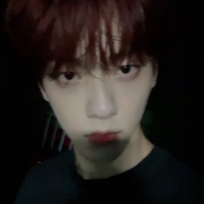 yawnzpup's profile picture