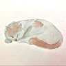 のりたま 的头像